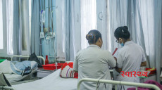 बेलायतसँग नर्स मात्र नभइ स्वास्थ्य जनशक्ति भनेर सम्झौता गरिँदै